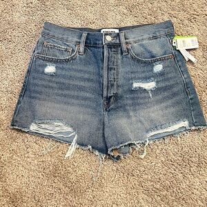 RSQ distressed Jean shorts